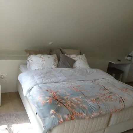 Vakantiewoning De Nachtegaal * אוסטנדה